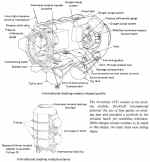 ASTP systeme amarrage nov 1971.jpg (122585 octets)