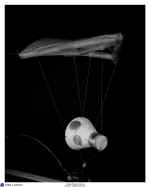 paraglider 1963 EL-2002-00434.jpg (214185 octets)