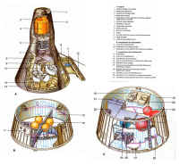 gemini ecorche dessin.jpg (350696 octets)