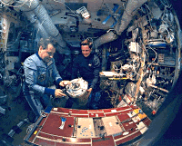 Strekalov Harbaugh STS71.gif (214834 octets)