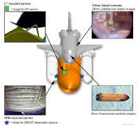 shuttle cameras.jpg (59008 octets)