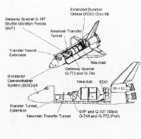 annexe6 spacelab STS 90 payload.gif (187026 octets)