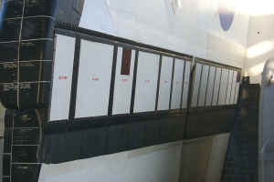 wing.jpg (120272 octets)