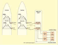 table AR5 ombilical coiffe.jpg (96175 octets)