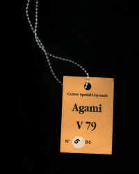 1995 V79 badge.jpg (44576 octets)