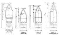 D1 proton coiffe DM et breeze.jpg (52112 octets)