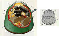 soyouz module descente dessin.jpg (48576 octets)